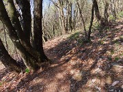 39 Sul sentiero 594 per breve tratto